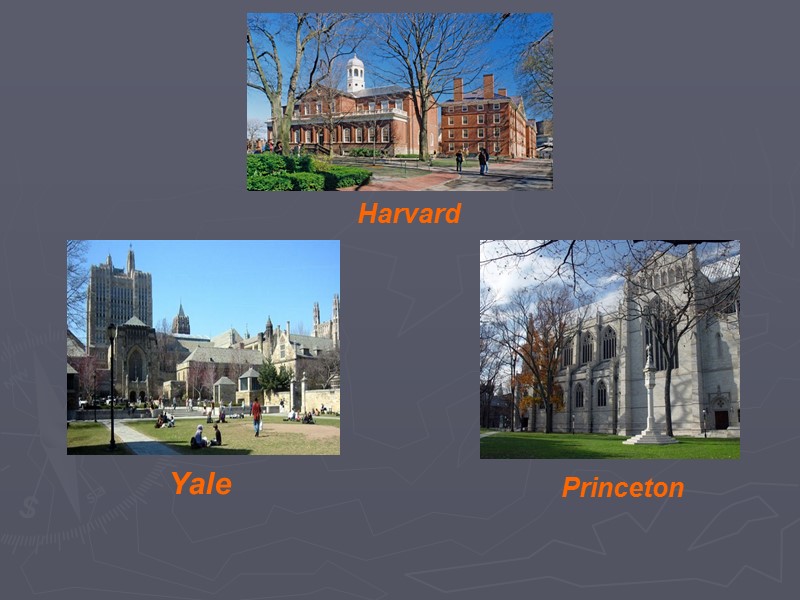 Princeton      Harvard  Yale
